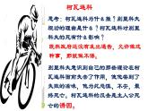 13.2《装在套子里的人》-课件（17张）-2020-2021学年高一语文统编版（2019）必修下册