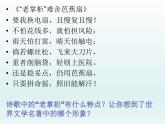 13.2《装在套子里的人》课件44张2021-2022学年高中语文统编版必修下册第六单元