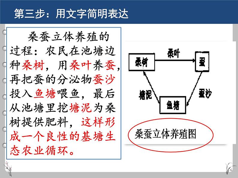 2022届高考语文语言运用专题复习 流程图 课件29张第5页