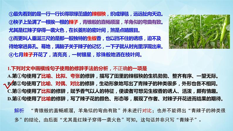 高考语文复习--- 精准辨析修辞，赏析句式效果 (1)课件PPT第7页