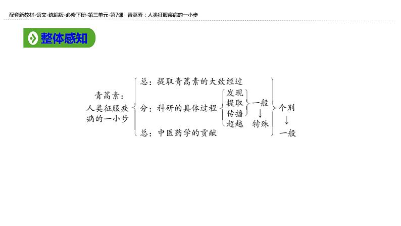 青蒿素：人类征服疾病的一小步1课件PPT第7页