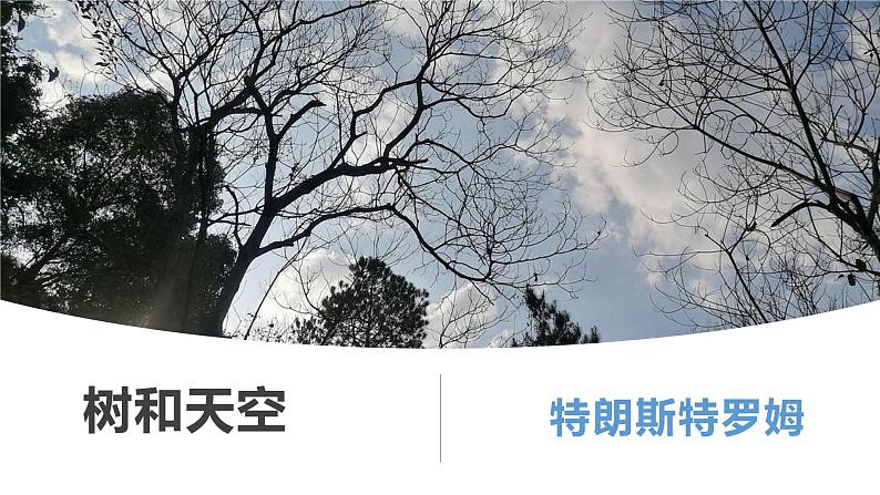 13.4《树和天空》课件16张2021-2022学年高中语文统编版选择性必修中册01