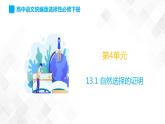 第4单元 13.1《自然选择的证明》-高二语文 课件+练习(统编版选择性必修下册)