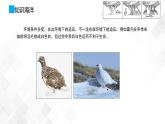第4单元 13.1《自然选择的证明》-高二语文 课件+练习(统编版选择性必修下册)