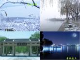 第1单元 4.1《望海潮》-高二语文 课件+练习(统编版选择性必修下册)