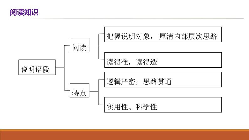 2022届高三语文二轮复习： 说明语段+语句补写课件PPT第2页