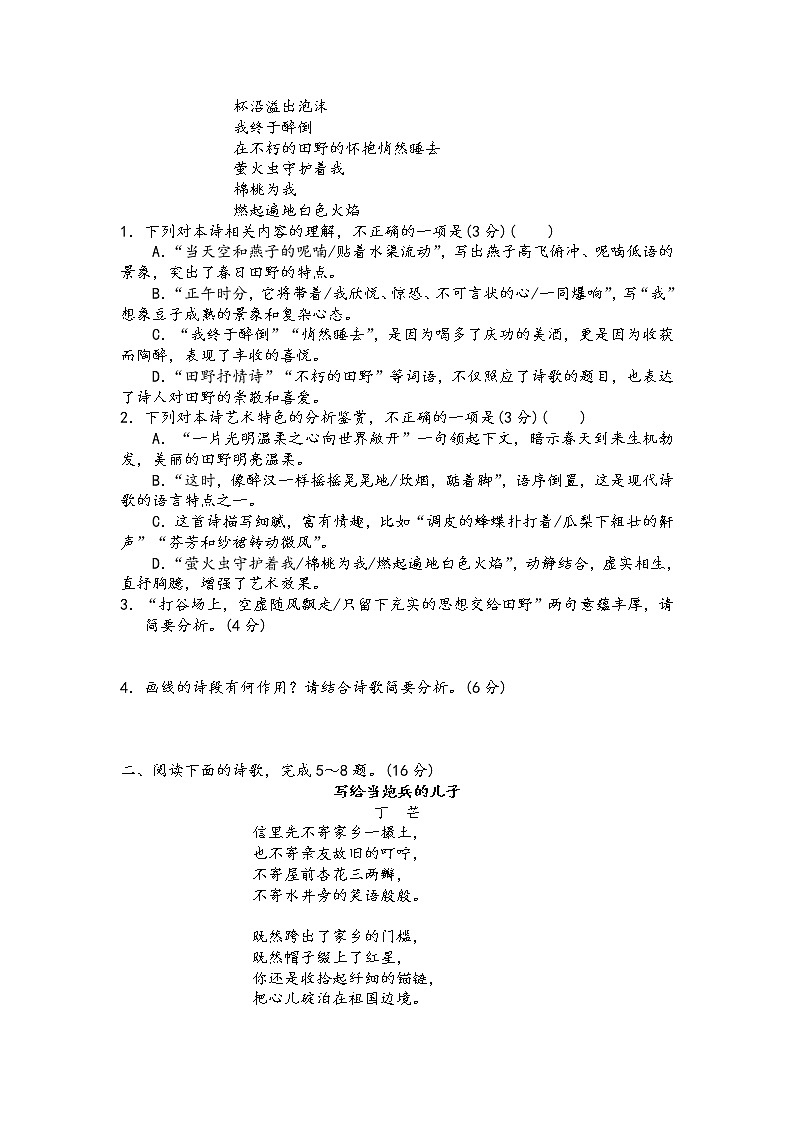 现代诗歌阅读精讲精练过关检测（原卷版）第2页