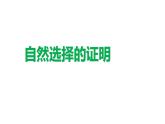 13.自然选择的证明 课件-高二语文统编版（2019）选择性必修下册