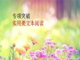2022届高考专题复习：实用类文本阅读专项突破  课件29张