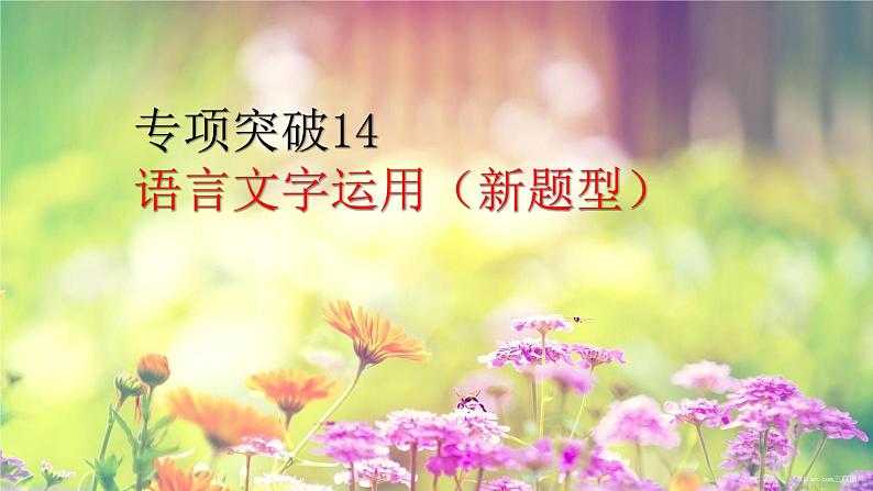 2022届高考专题复习：语言文字运用（新题型）专项突破 课件24张第1页