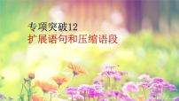 2022届高考专题复习：扩展语句和压缩语段专项突破 课件27张