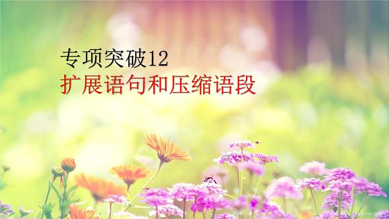 2022届高考专题复习：扩展语句和压缩语段专项突破 课件27张01