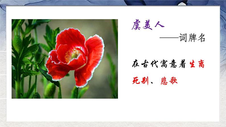 《虞美人》课件19张2021-2022学年统编版高中语文必修上册05