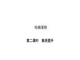 人教部编版高中语文必修下册6.哈姆莱特   课件