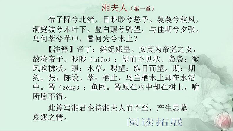 人教部编版高中语文必修下册9. 说“木叶”   课件07