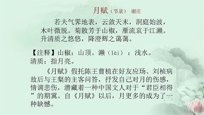 人教部编版高中语文必修下册9. 说“木叶”   课件08