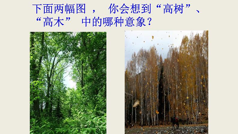 人教部编版高中语文必修下册9. 说“木叶”   课件08