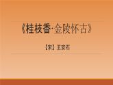 古诗词诵读《桂枝香•金陵怀古》课件30张2021-2022学年统编版高中语文必修下册