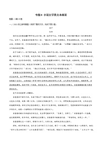 专题4 小说文学类文本阅读-2022年高考语文一轮复习暑假训练专题分类卷