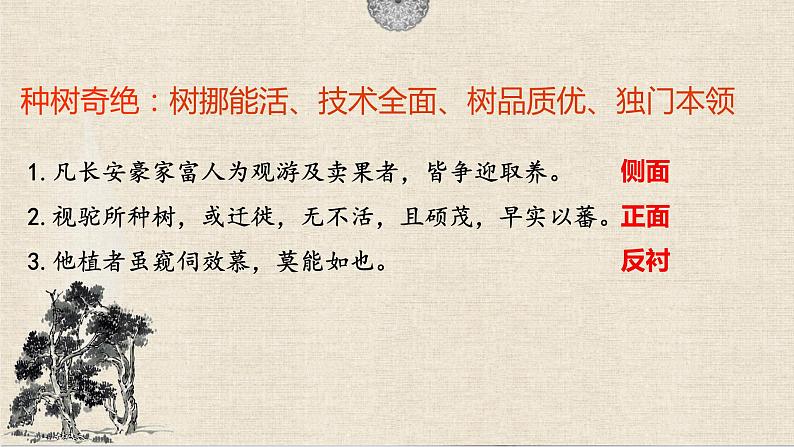 11.《种树郭橐驼传》课件24张2021-2022学年统编版高中语文选择性必修下册第4页