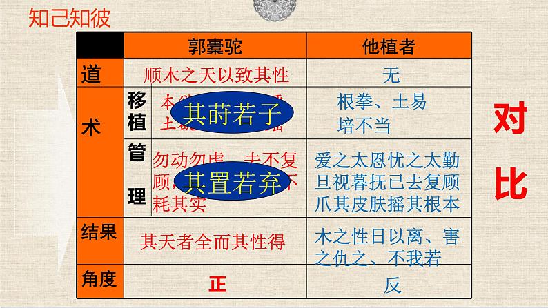 11.《种树郭橐驼传》课件24张2021-2022学年统编版高中语文选择性必修下册第5页