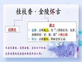 古诗词诵读《桂枝香•金陵怀古》课件19张2021-2022学年统编版高中语文必修下册