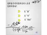 人教部编版高中语文必修下册13.2装在套子里的人   课件