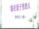 人教部编版高中语文必修下册13.2装在套子里的人   课件