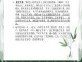 人教部编版高中语文必修下册13.2装在套子里的人   课件