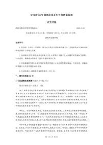 2020年湖北武汉高三二模语文试卷及解析