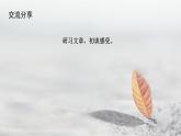 《一个消逝了的山村》《秦腔》联读课件PPT