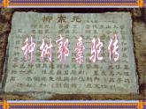 《种树郭橐驼传》课件46张2021—2022学年统编版高中语文选择性必修下册
