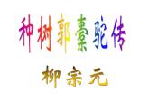 《种树郭橐驼传》课件21张2021—2022学年统编版高中语文选择性必修下册