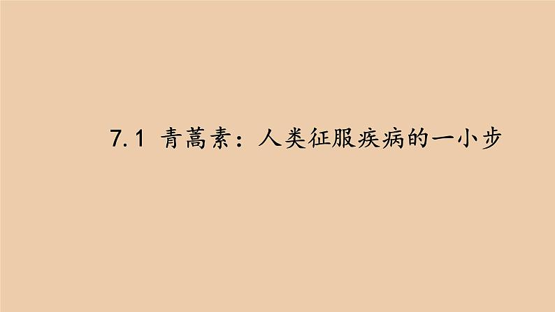 人教部编版高中语文必修下册 期末复习    课件02