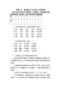 专题14：基础知识与运用 小说阅读-高中语文学业水平测试（合格性）基础组合练