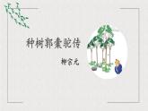 11.《种树郭橐驼传》课件24张2021-2022学年统编版高中语文选择性必修下册