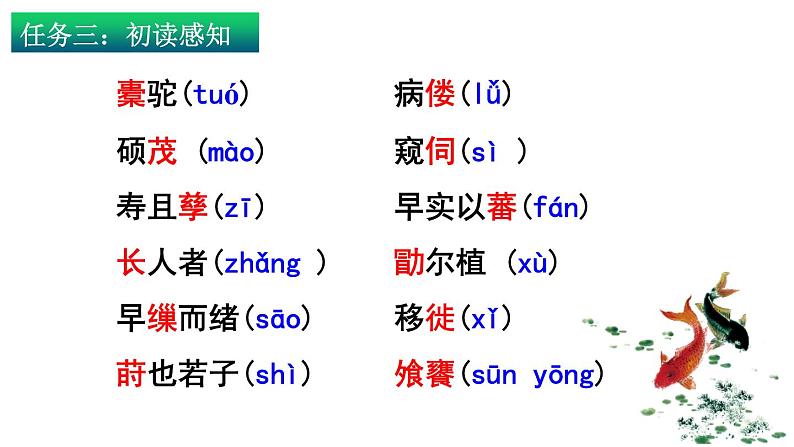 11.《种树郭橐驼传》课件24张2021-2022学年统编版高中语文选择性必修下册第4页