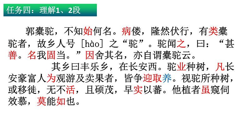 11.《种树郭橐驼传》课件24张2021-2022学年统编版高中语文选择性必修下册第5页