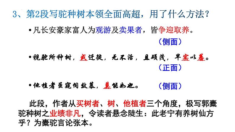 11.《种树郭橐驼传》课件24张2021-2022学年统编版高中语文选择性必修下册第7页