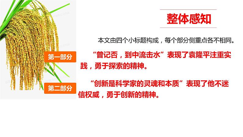 4.1《喜看稻菽千重浪》课件19张2021—2022学年统编版高中语文必修上册第5页