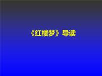 人教统编版必修 下册《红楼梦》示范课课件ppt