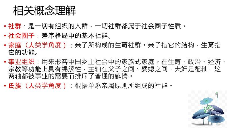 人教版必修上册《乡土中国》整本书阅读-- 《家族》课件03