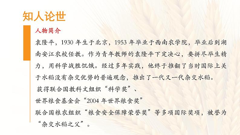 4《喜看稻菽千重浪》课件28张2021-2022学年高中语文统编版必修上册第4页