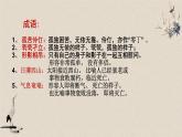 9.1《陈情表》课件36张2021-2022学年统编版高中语文选择性必修下册