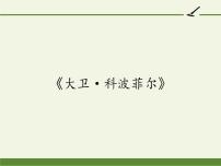 2021学年8 大卫·科波菲尔（节选）教课内容课件ppt