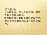 部编版版高中语文选择性必修上册 10.老人与海    课件