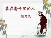 第六单元《装在套子里的人》课件（22张PPT）2020-2021学年统编版高中语文必修下册