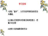第六单元《装在套子里的人》课件（22张PPT）2020-2021学年统编版高中语文必修下册