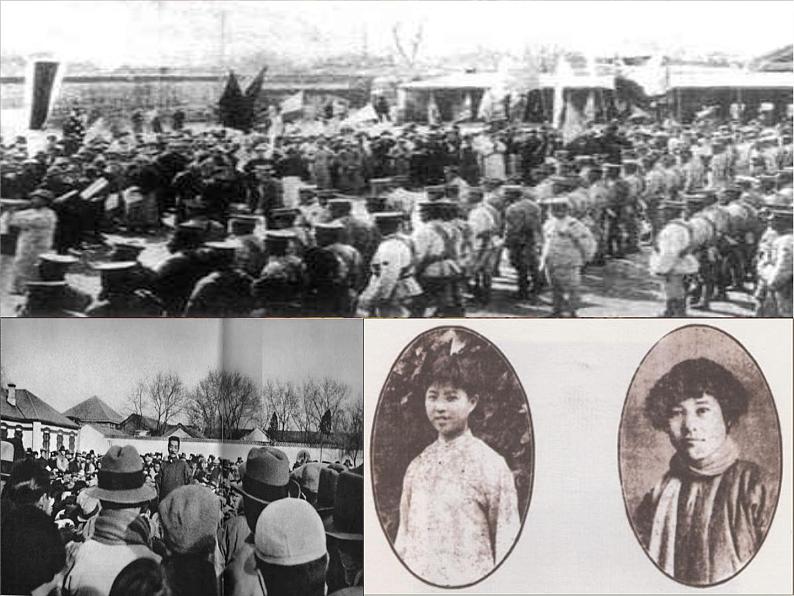 部编版高中语文选择性必修中册 6.1记念刘和珍君    课件第5页