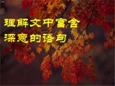 部编版高中语文选择性必修中册 6.1记念刘和珍君    课件